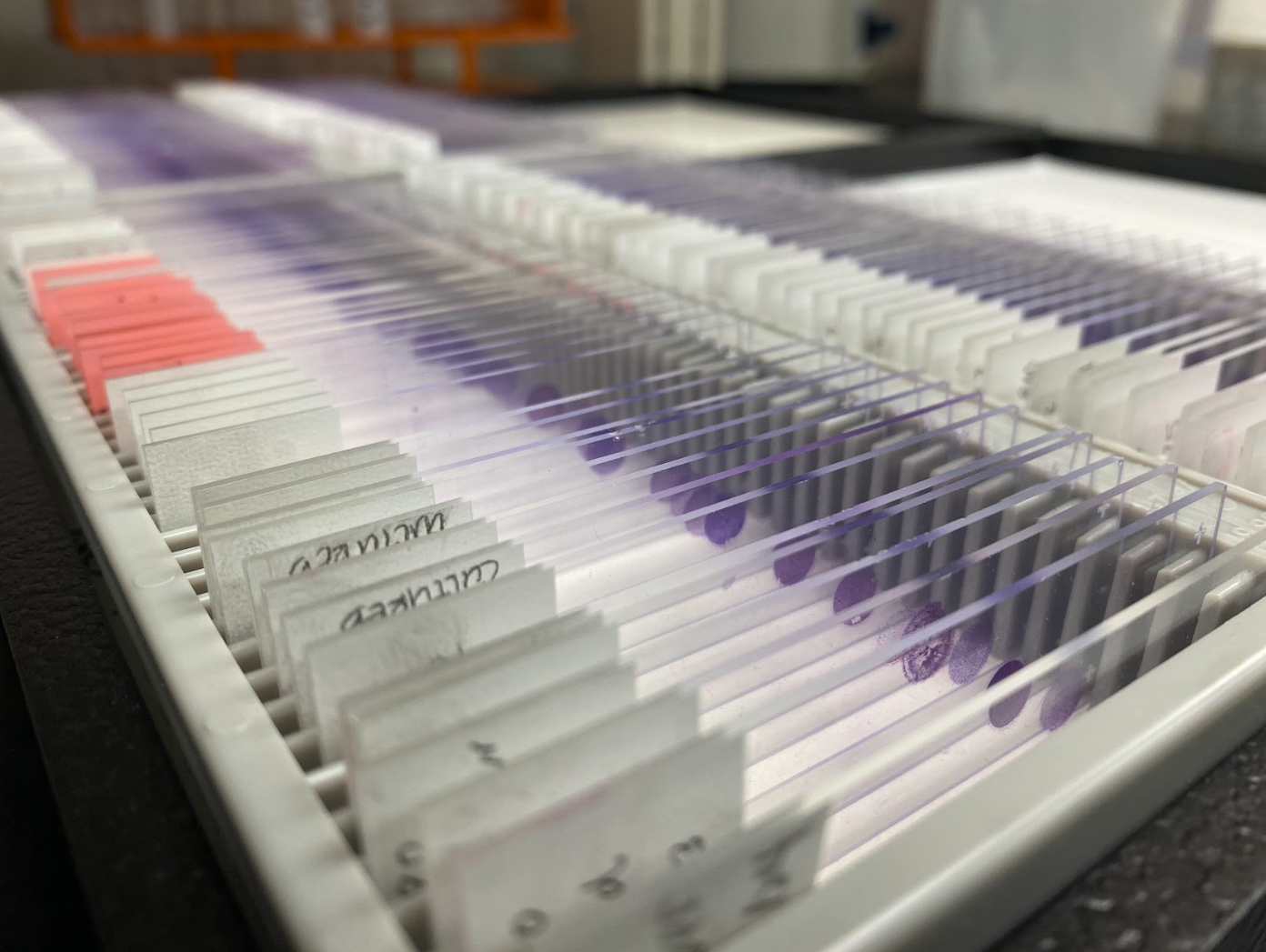 CT Translational CORE